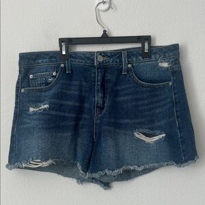 Time and Tru High Rise Denim Jean Shorts